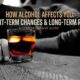 Alcohol Affects You